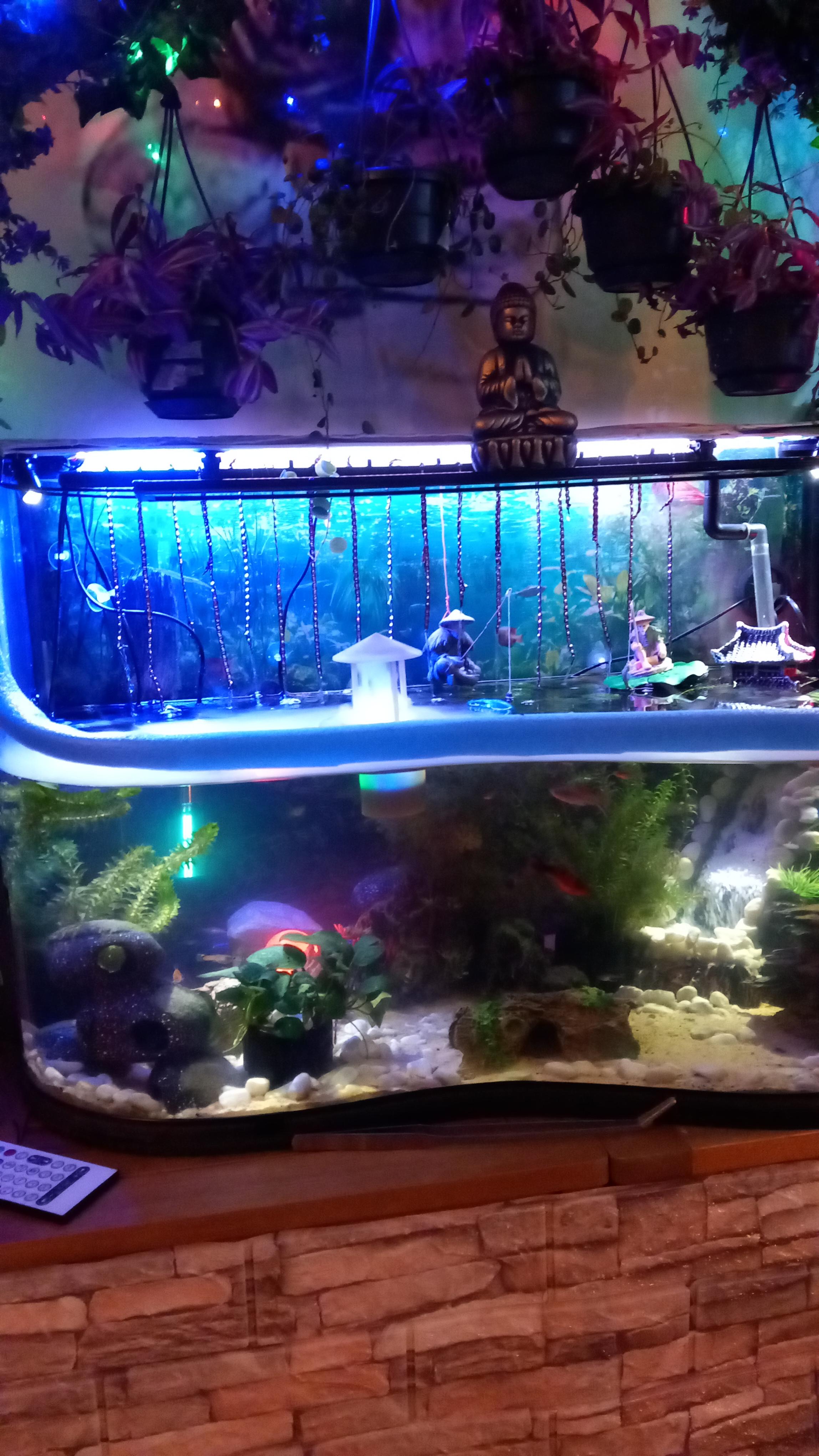 L-profiel van schuim (per strook) gebruik: L-profiel van schuim (per strook)